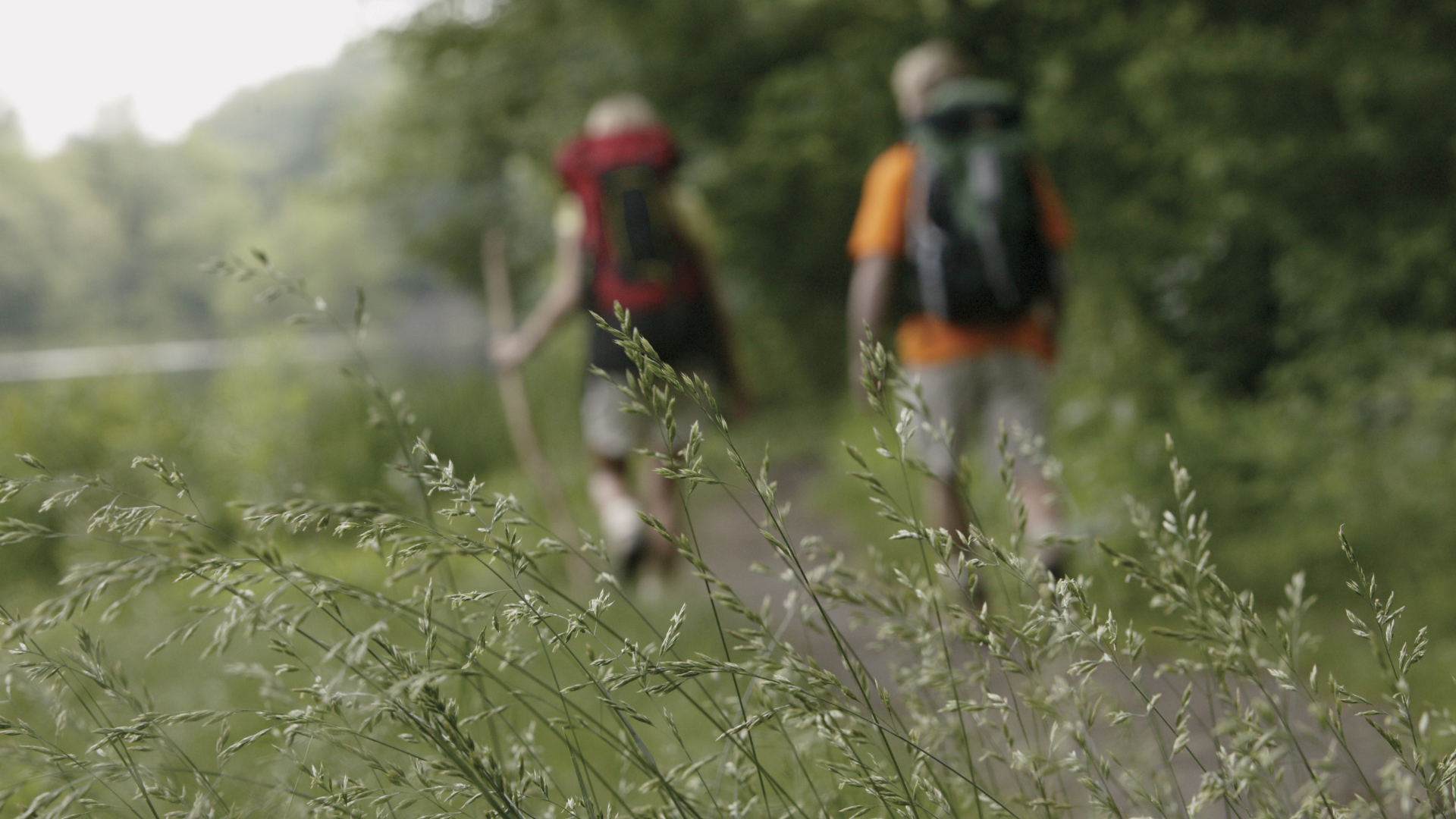 Finding Your Footing: How Many Hikes Are Ideal for One Year?