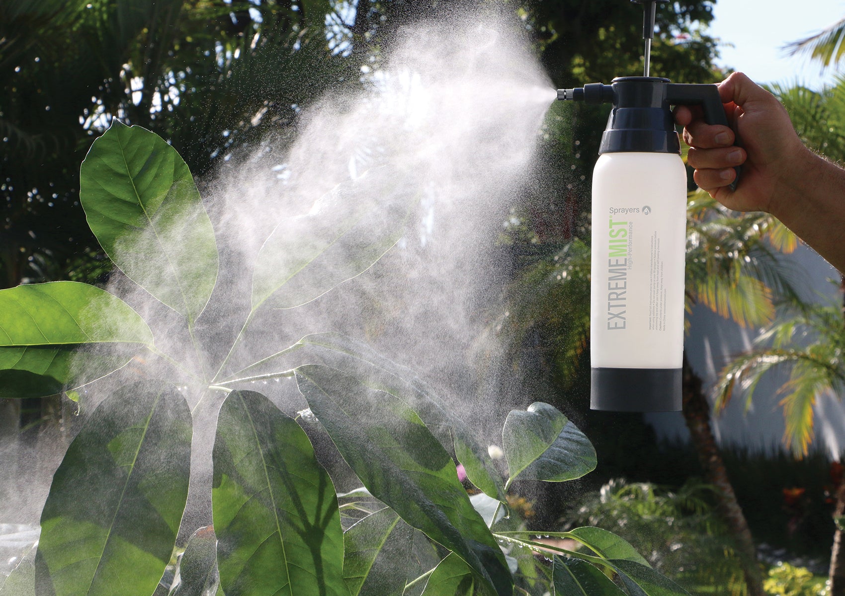 plant mister pump-up sprayer spraying mist on plant leaves