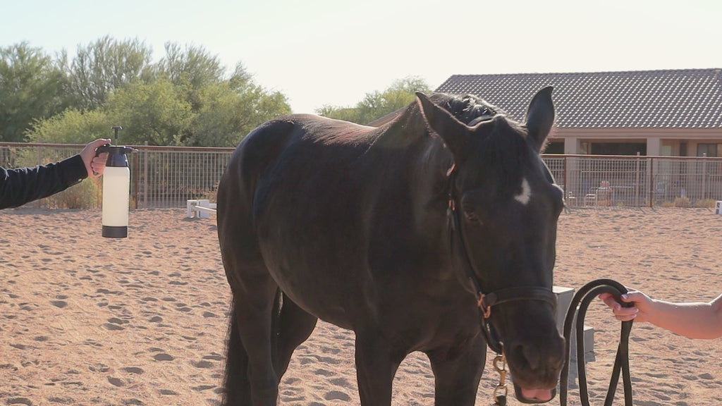 Extrememist High Performance Equine Mister